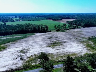 0 Tbd Cowpen Swamp Rd, Fairmont, NC 28340