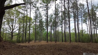 68434 Monroe Stevens Rd, Kentwood, LA 70444