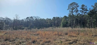 6245 Upper C Rd, Clinton, LA 70722