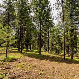 Lot 21 To Be Determined Unit 21, McCall, ID 83638