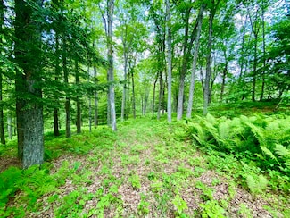 00 Carlton Hill, Woodstock, VT 05091