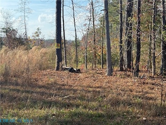 Lot 40-114A Flat Rock Rd, Crewe, VA 23930