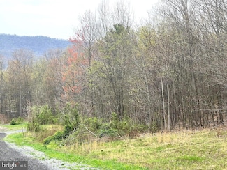 Lot # 18 Ridge Way Dr, Snake Spring Township, PA 15537