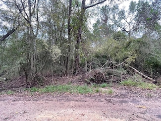 0 Elkfield Ln, Riverwood, TX 77338