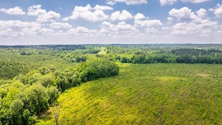 0 Dellinger Rd, Lockesburg, AR 71846