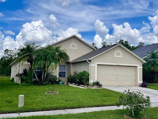 30631 Tremont Dr, Wesley Chapel, FL 33543