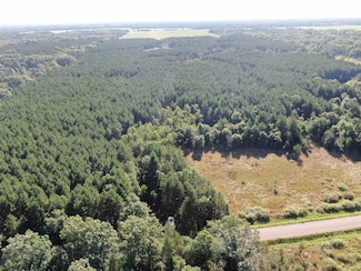 80 AC 9th Acres, Adams, WI 53910