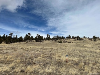 64 Bandana Rd Unit 468, Hartsel, CO 80449