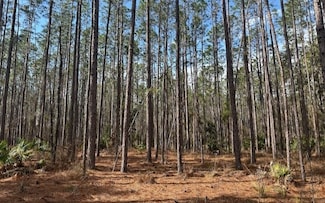 0 N Us Hwy 129 Unit 126361, Bell, FL 32619
