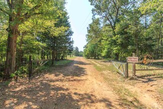 5707 Highway 142, Stantonville, TN 38379