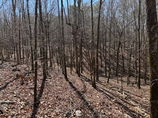 000 Brown Creek Rd, Shiloh, GA 31826