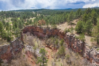 Parcel 4B Saddle Ridge Rd, East Custer, SD 57744