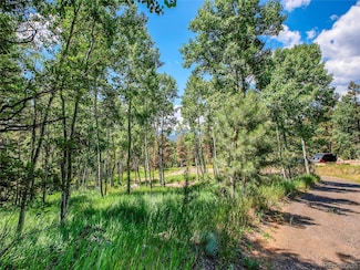 12286 Styve Rd, Conifer, CO 80433