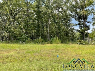 TBD Briar Ridge Trail Unit Lot 1, Blk 3, Longview, TX 75602