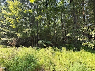 0 St Luke Church Rd Unit 10084382, Goldston, NC 27252