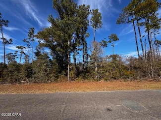 Lot 7 Vancouver Dr, Alford, FL 32420