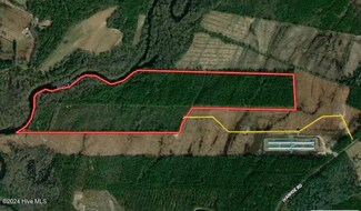 137.18 Ac Ivanhoe Rd, Ivanhoe, NC 28447