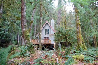 120 Timber Trail, Packwood, WA 98361