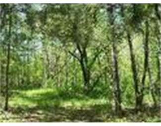 0 Richmond Rd, Assonet, MA 02702