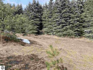 876 Clous Rd, Kingsley, MI 49649