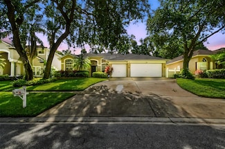 2009 Raven Manor Dr, Dover, FL 33527