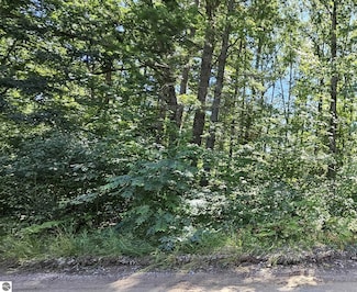 00 Merritt St, Fife Lake, MI 49633