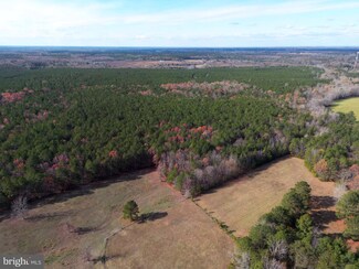 00 Telegraph Rd, Ruther Glen, VA 22546