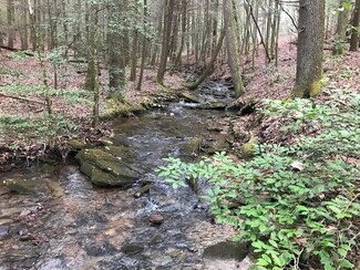 0 Deep Woods Dr Unit RTC2801439, Dunlap, TN 37327