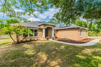 21307 Reindeer Rd, Christmas, FL 32709