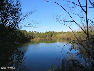 0 Lovette Rd, Lumberton, NC 28358