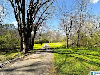 1931 Red Valley Rd, Remlap, AL 35133