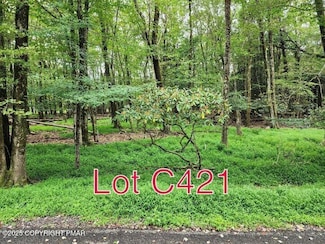 Lot C421 Lakota Ln, Indian Mountain Lake, PA 18210
