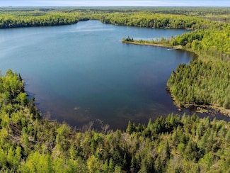TBD-A Ladyslipper Ln, Wabana Township, MN 55744