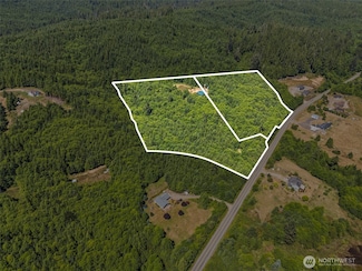 341 Parpala Rd, Naselle, WA 98638