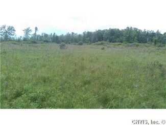 0 Burnt Rock Rd, Cape Vincent, NY 13618