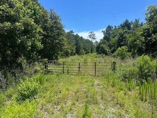 Tdb Hubert Ln Unit LotWP001, Elton, LA 70532