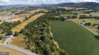 TRACT 2: 36.45+/- AC Spring Run Rd, Spring Run, PA 17262