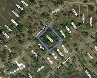1.12 AC Bermuda Bluff Ln, Midway, GA 31320