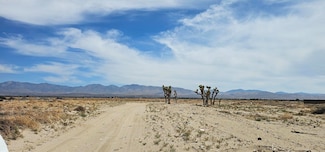 0 120th St E Avenue P8 Unit 25003592, Palmdale, CA 93550