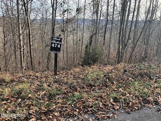 0 Silver Tr Unit Lot 474 1286611, New Tazewell, TN 37825
