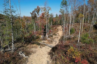 0 Bragg Rd, Lerona, WV 25971