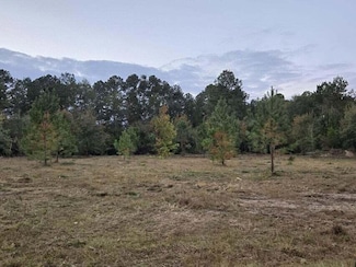 LOT 22 Ash Ln, Williston, SC 29853