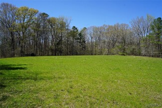 830 Old Barnes Rd, Mathews, AL 36052