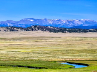 9173 Highway 24 Unit The Preserve Ranch, Hartsel, CO 80449