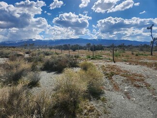 2647 Minero Rd, Pinon Hills, CA 92372
