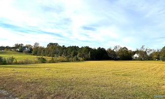 .7 acres Appalachian Hwy, Hokes Bluff, AL 35903