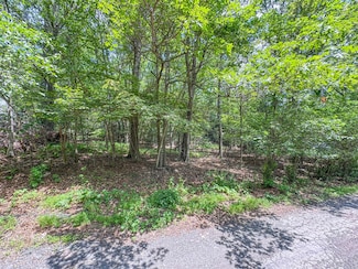 Lot 114 Birch Dr, Kidder Township, PA 18624