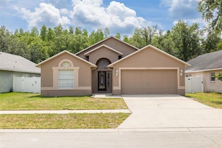 18941 Twinberry Dr, Tampa, FL 33647
