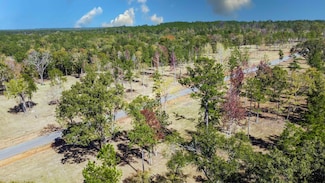 15756 Aniston Ln, Flint, TX 75762