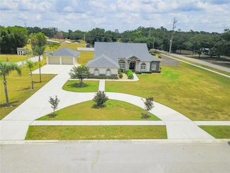 13338 Jaudon Ranch Rd, Dover, FL 33527